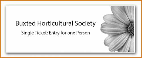 Single Annual membership